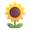 🌻